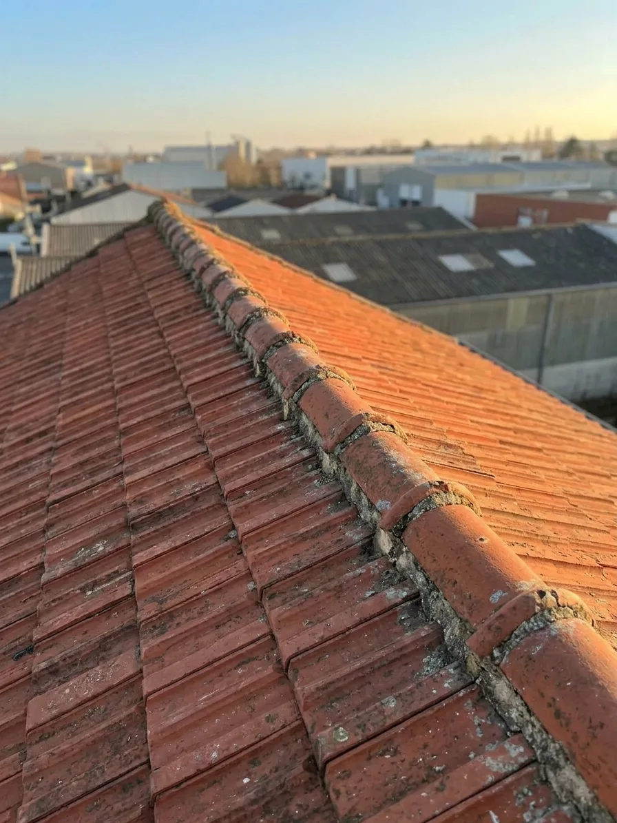 Couvreur à Torcy — avant (chantier 2)